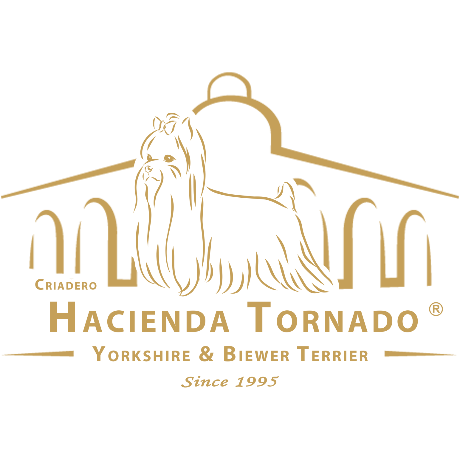 Hacienda Tornado Logo